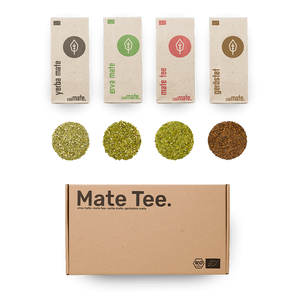 Vier verschiedene Bio-Mate-Tee-Sorten von caámate – yerba mate, erva mate, mate tee und gerösteter Mate - Darunter kreisförmige Nahaufnahmen der losen Mateblätter in naturbelassenem Zustand. Am unteren Bildrand eine Versandbox mit Aufdruck „Mate Tee.“ sowie Bio- und EU-Öko-Siegel. Ideal als Probierpaket oder Geschenkset