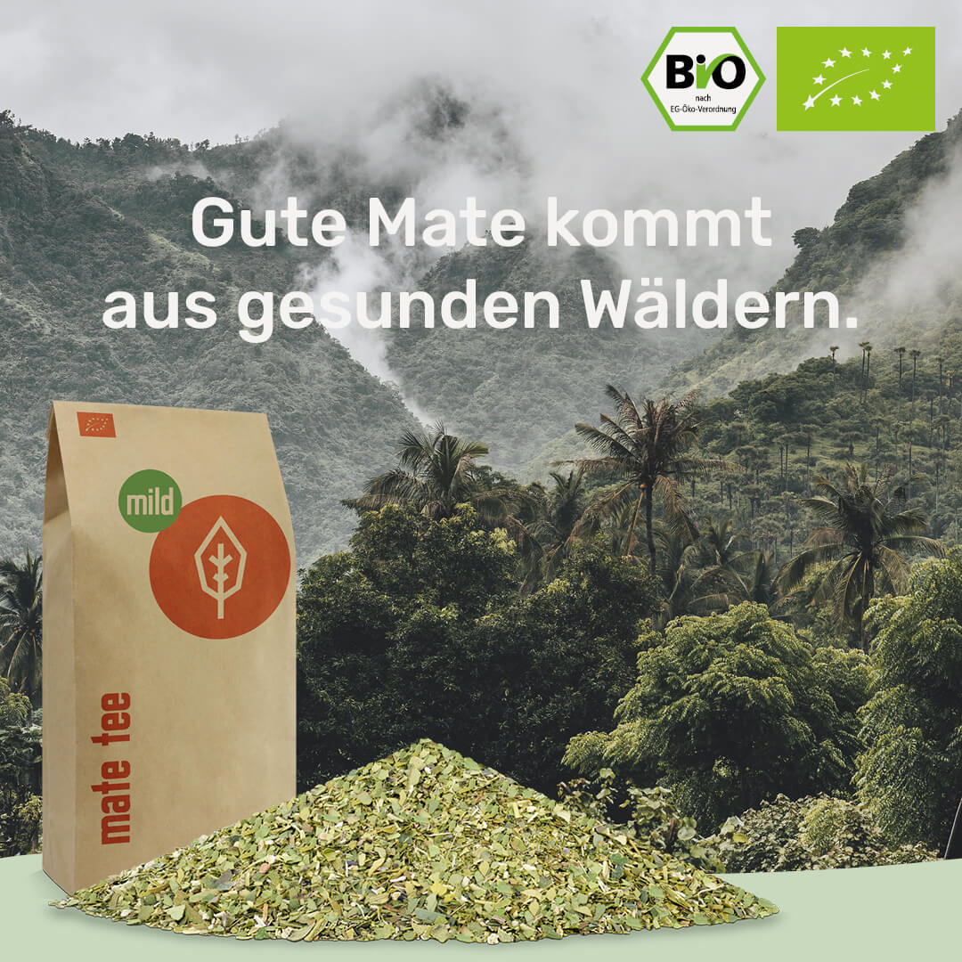 gesunde Mate kommt aus gesunden Waeldern caamate mate tee mild bio