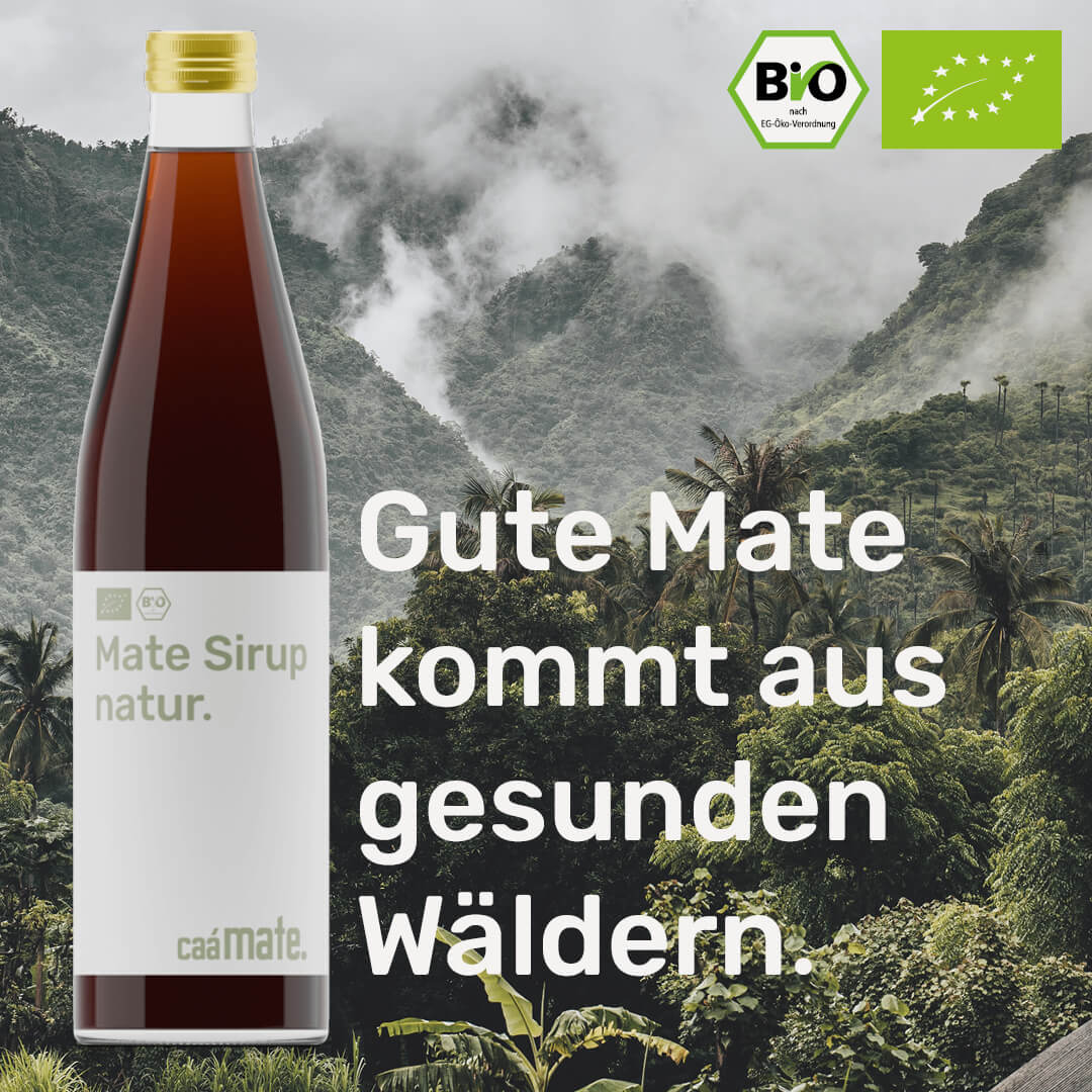 Bio Mate Sirup Natur 500ml